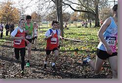 Begles 15.12.13 01 568 * 679 x 453 * (210KB)